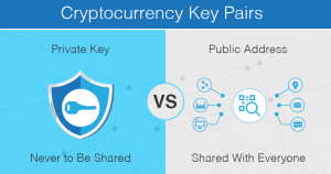 Difference between crypto public keys and private keys